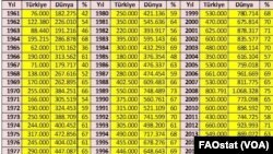 Türkiye ve Dünya Fındık Üretimi (Kaynak: BM Gıda ve Tarım Örgütü)